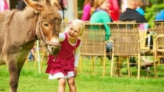 Alleenstaande ouders kamperen luxe bij de boer