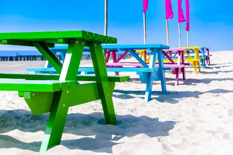 Eenoudervakanties Nederland zomer 2020