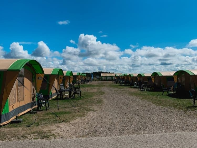  Camping Dancamps Nordsø foto 2