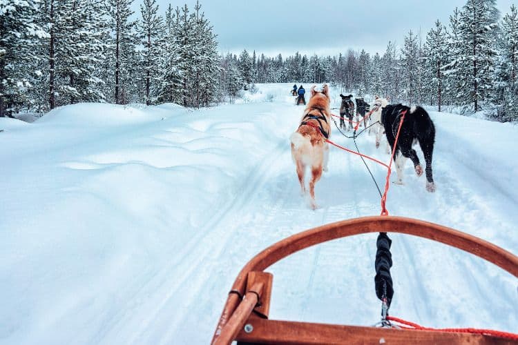 Zweden, een typische bucketlist vakantie